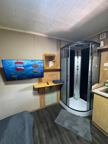 a bathroom with a shower with a sink and a table at Studio St Florentin 2 in Saint-Florentin