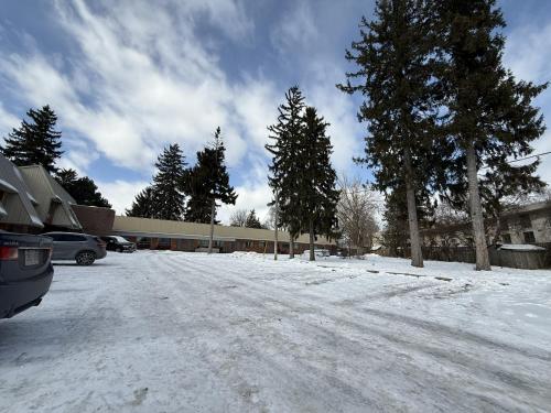 a snow covered parking lot with trees and a building at Idlewood Inn in Toronto