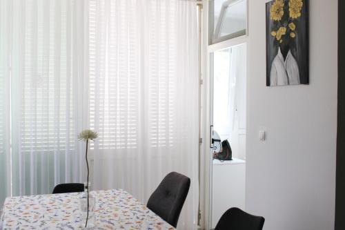 Beautiful vacation apartments in Novalja Ivana - Ana - Danijel