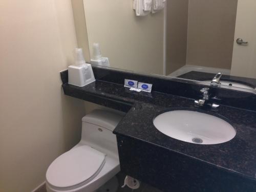 a bathroom with a white toilet and a sink at Red Carpet Inn - New Brunswick in New Brunswick