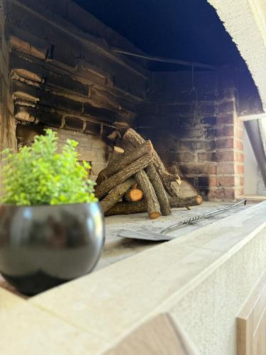 a brick oven with a pot of plants on a counter at Casa Verde in Donji Zemunik