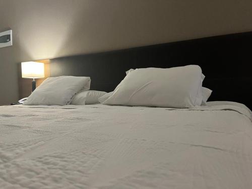 a white bed with white pillows and a black headboard at Beira Mar - Flat Beach Class Internacional - Boa Viagem 20º andar in Recife
