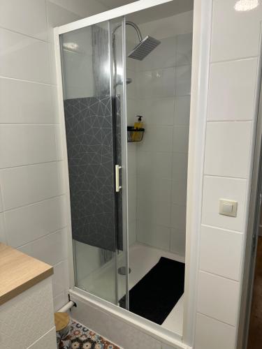 a shower with a glass door in a bathroom at Joli appartement à Talence in Talence
