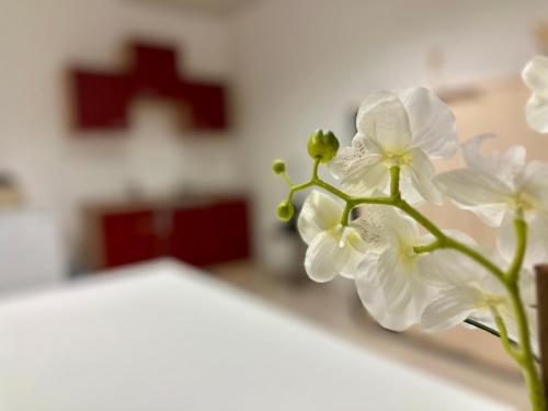 a white flower in a vase on a table at Kobra Room in Spielberg in Spielberg