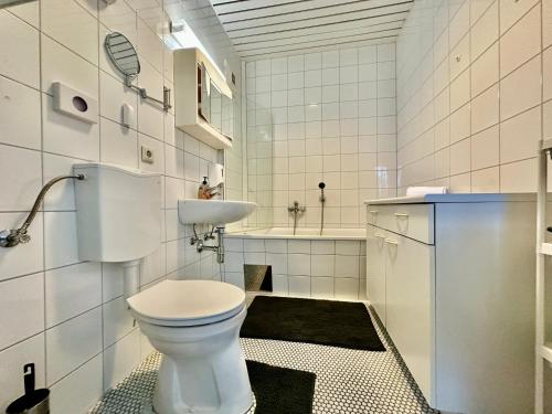 a white bathroom with a toilet and a sink at Kobra Apartment für Gruppen perfekt geeignet in Spielberg