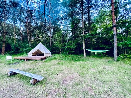 Glamping Ekologiczny Koziołeczek外面的花园