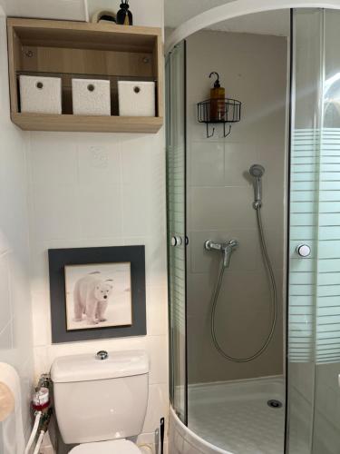 une salle de bain avec toilettes et douche en verre dans l'établissement Studio COSY, à Saint-Chaffrey