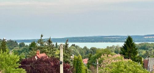 Nosztalgia Balaton Apartmanház