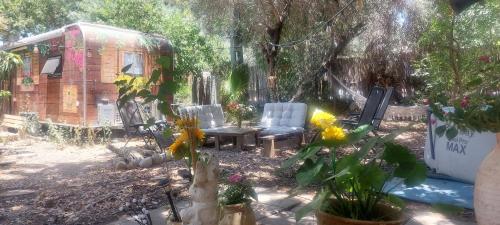 Un jardín fuera de בריאה