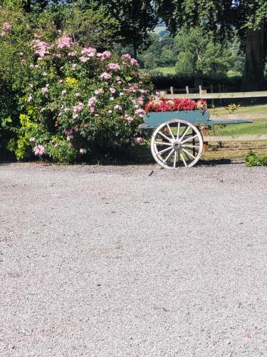 a blue bench with a bunch of flowers on it at Ty Derw Country House B&B in Ruthin