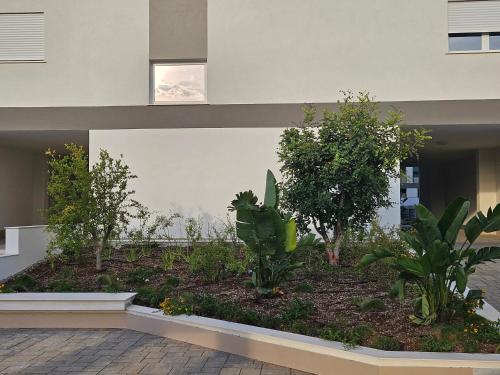 Vincotto homes photo 48