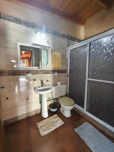 a bathroom with a toilet and a sink and a shower at Departamento BenLu in Puerto Iguazú