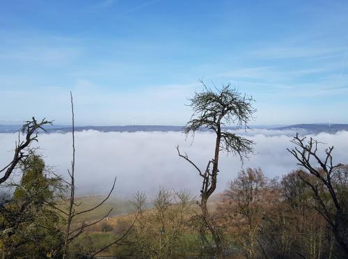 a view of a foggy field with a tree at Ferienwohnung Amöneburg In Amöneburg in Amöneburg