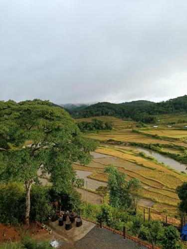 a view of a field of crops and a river at Măng Đen Farm Stay A Vũ in Kon Rung (1)