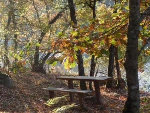 a wooden bench sitting in the middle of a forest at Gîte Familial avec Cascade, Pêche, Activités et Proximité de Vichy - FR-1-489-21 in Barrais-Bussolles