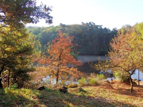 a view of a lake from a hill with trees at Gîte Familial avec Cascade, Pêche, Activités et Proximité de Vichy - FR-1-489-21 in Barrais-Bussolles