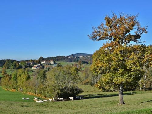 Photo de la galerie de l'établissement Gîte familial tout confort avec jardin et loisirs à proximité, idéal pour 12-14 pers. - FR-1-489-340, à La Chabanne