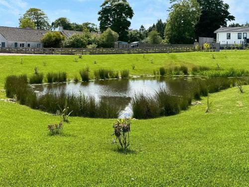 a small pond in a field with grass at Lodge 78 in St. Andrews