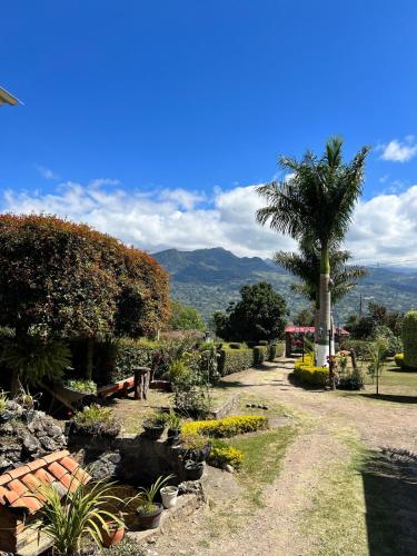 a garden with a palm tree and some plants at Hospedaje Campestre Las Palmas 101 in Choachí