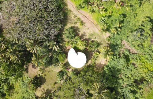 an overhead view of a white apple sign in a forest at Shell House with Ocean View in Savusavu