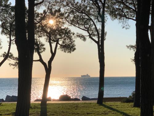 a view of the ocean through the trees at Greif Hotel & Spa in Trieste