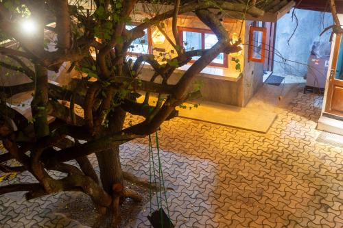 a tree in the middle of a room at Mich's Surf Villa & Hostel in Weligama