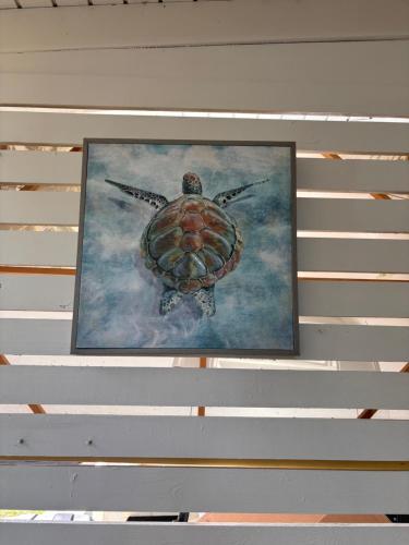 Fotografie z fotogalerie ubytování ZuNbeach v destinaci Dorado