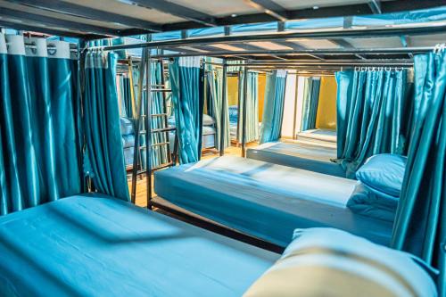 een groep bedden in een kamer met blauwe gordijnen bij Golden Mountain Hostel Ninh Binh in Xuân Sơn