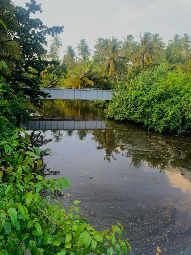 a river with a bridge and palm trees in the background at The Curry Lodge - Thimbiriya in Habaraduwa