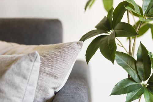 a plant sitting next to a couch with a pillow at AEONS - Hotelia Hospitality Group in Thessaloniki
