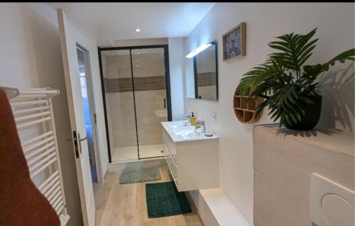un bagno con lavandino e una pianta in vaso di Les Coucous a Saint-Martin-Vésubie