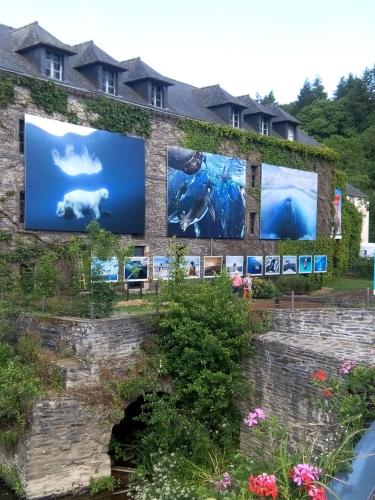 a wall with pictures of animals on it at Chambre d'hôtes Les Bruyères in Bruc-sur-Aff