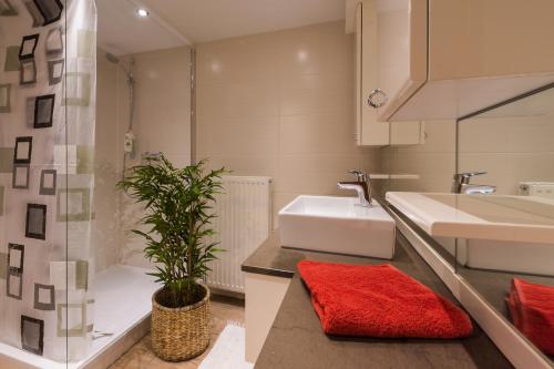 a bathroom with a sink and a shower with a plant at Ferienwohnung Elisa in Innsbruck
