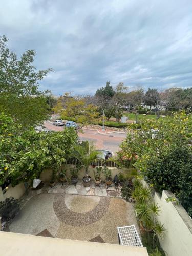 an overhead view of a garden with plants and trees at Дом для гостей in Rishon LeẔiyyon