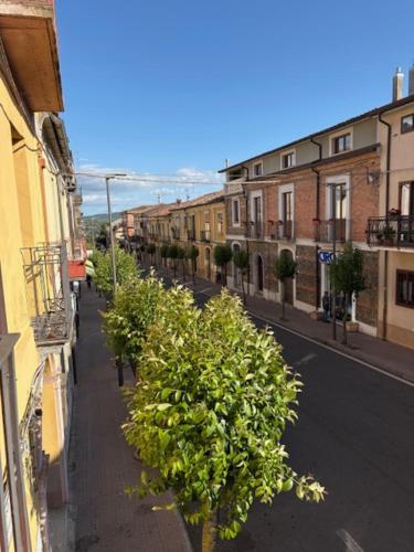 a street with a row of trees on the side of a building at L'arco di corso Garibaldi 202 in Soveria Mannelli