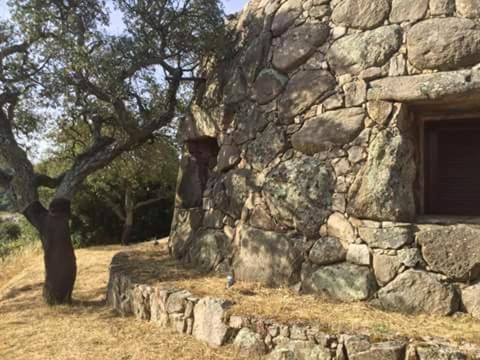 a stone building with a tree next to it at Il Nuraghe del lago Coghinas in Oschiri