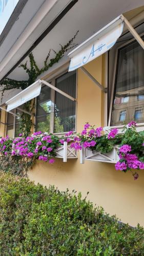 a window box with flowers on the side of a building at Hotel Aurbacher Hof GmbH in Munich