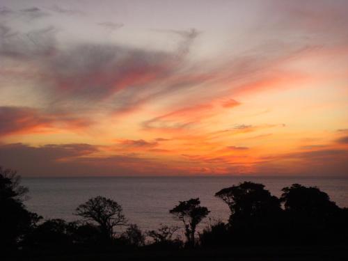 a sunset over the ocean with trees in the foreground at Natural Mind Tour guest house - Vacation STAY 23292v in Sado