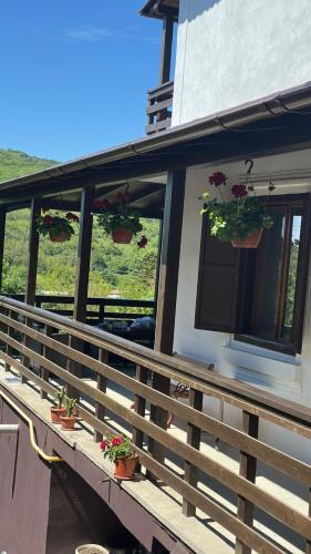 a balcony with potted plants on a house at La Colonelu in Sărata-Monteoru