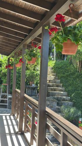 a porch with potted flowers and a stair case at La Colonelu in Sărata-Monteoru