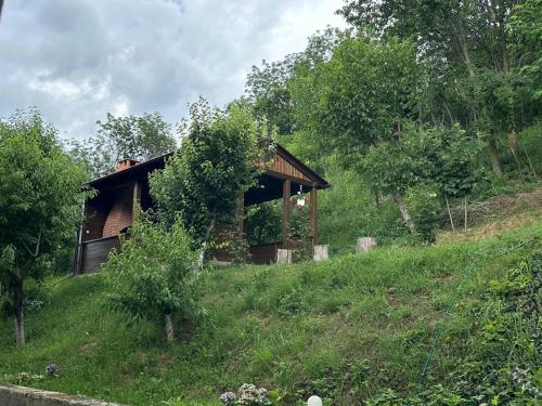 a small house on a hill in a field at La Colonelu in Sărata-Monteoru
