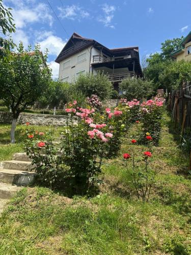 a garden with pink flowers in front of a house at La Colonelu in Sărata-Monteoru