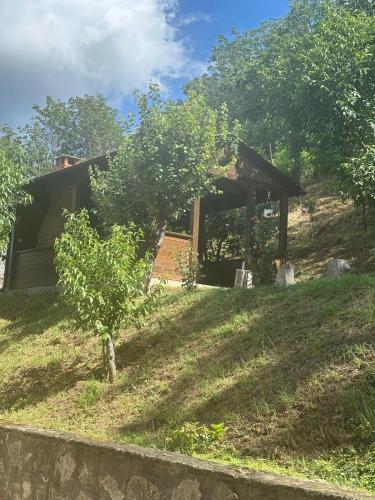 a house on a hill with a tree in the yard at La Colonelu in Sărata-Monteoru