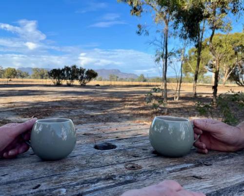 two cups on a wooden table with a field in the background at Tiny Homes Escape at Grampians Edge by Tiny Away in Dadswells Bridge