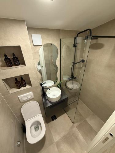 a bathroom with a toilet and a sink and a shower at Casa Verde in Donji Zemunik