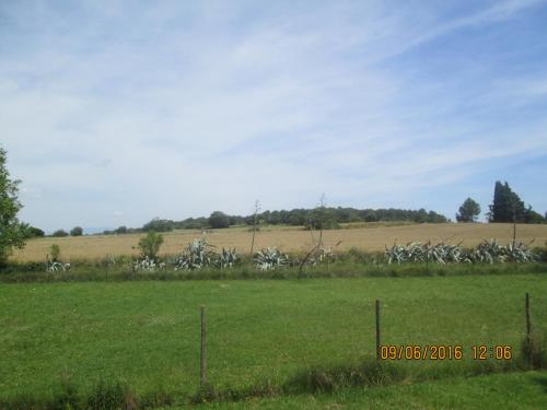 Paesaggio naturale nelle vicinanze dell'affittacamere
