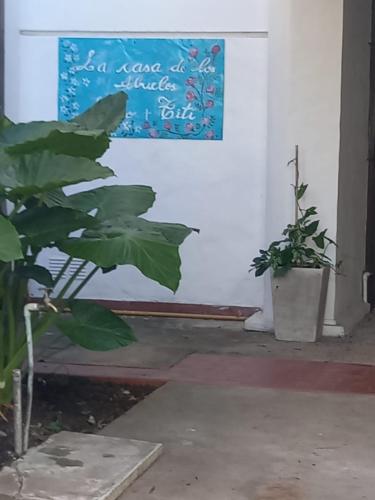 a plant in a room with a sign on the wall at La Casa de los Abuelos in Gualeguaychú