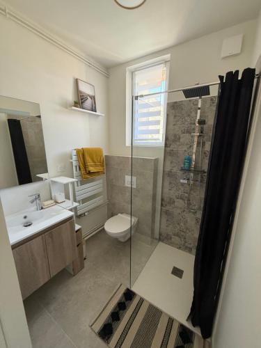 a bathroom with a shower and a toilet and a sink at L ancien presbytere in Avallon