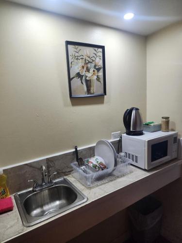 a kitchen counter with a sink and a microwave at Pearl of the City TROPICAL PEARL in Kingston
