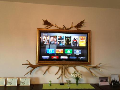 a flat screen tv with antlers on a wall at More Guesthouse in More